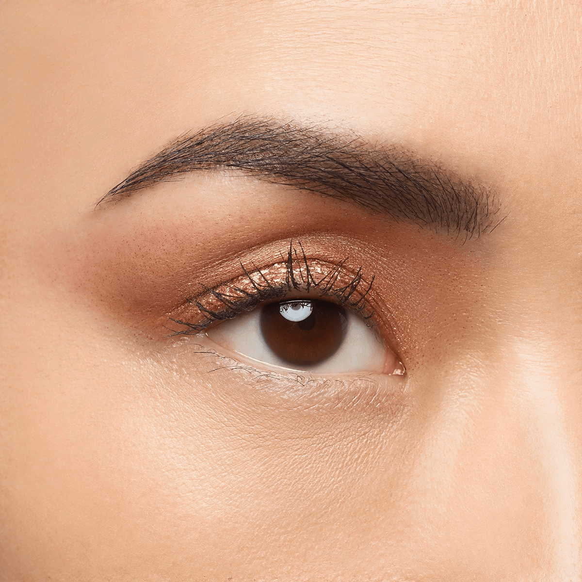 タッパロイユ メタリック アイカラー image number 6