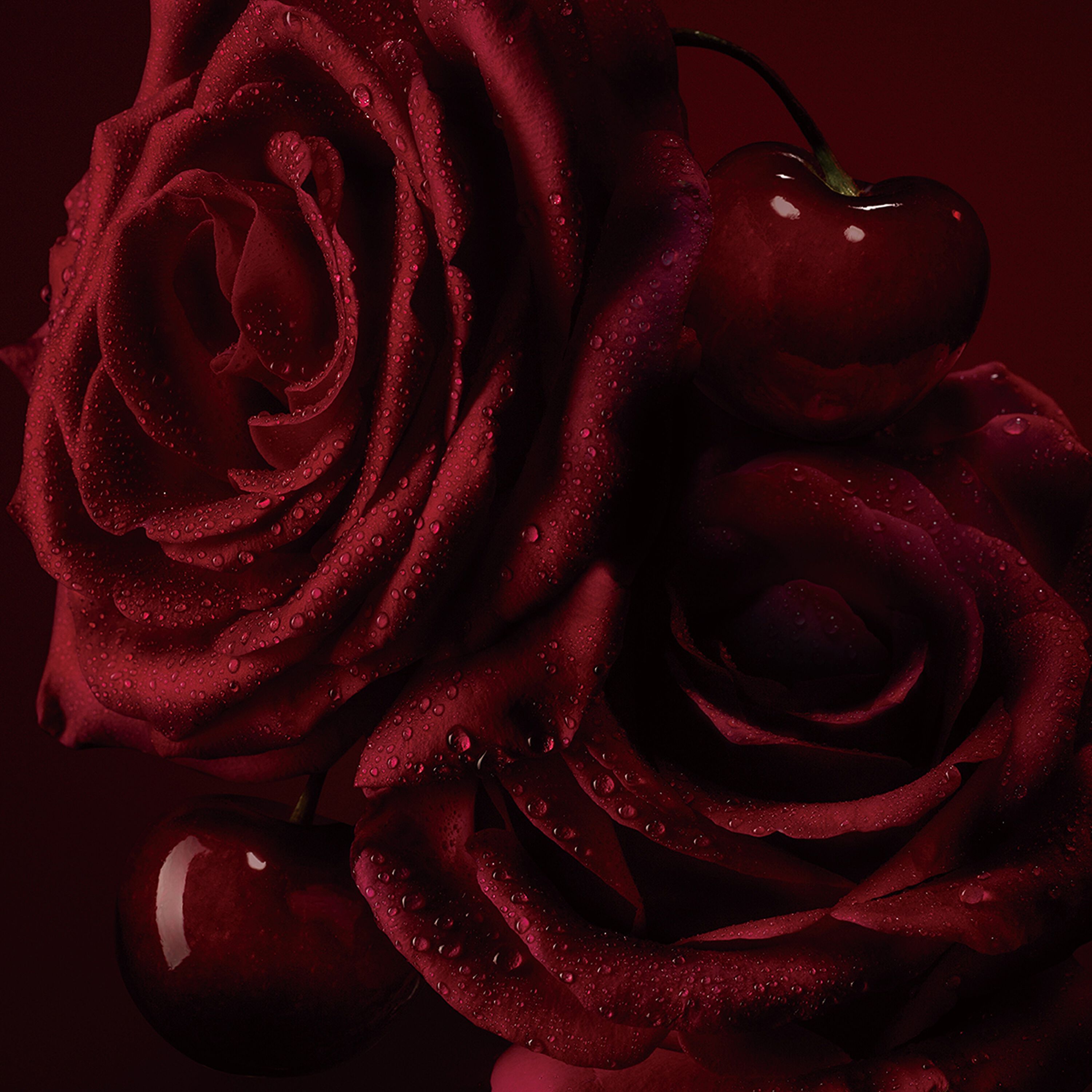 フェティッシュ ラローズ  image number 3