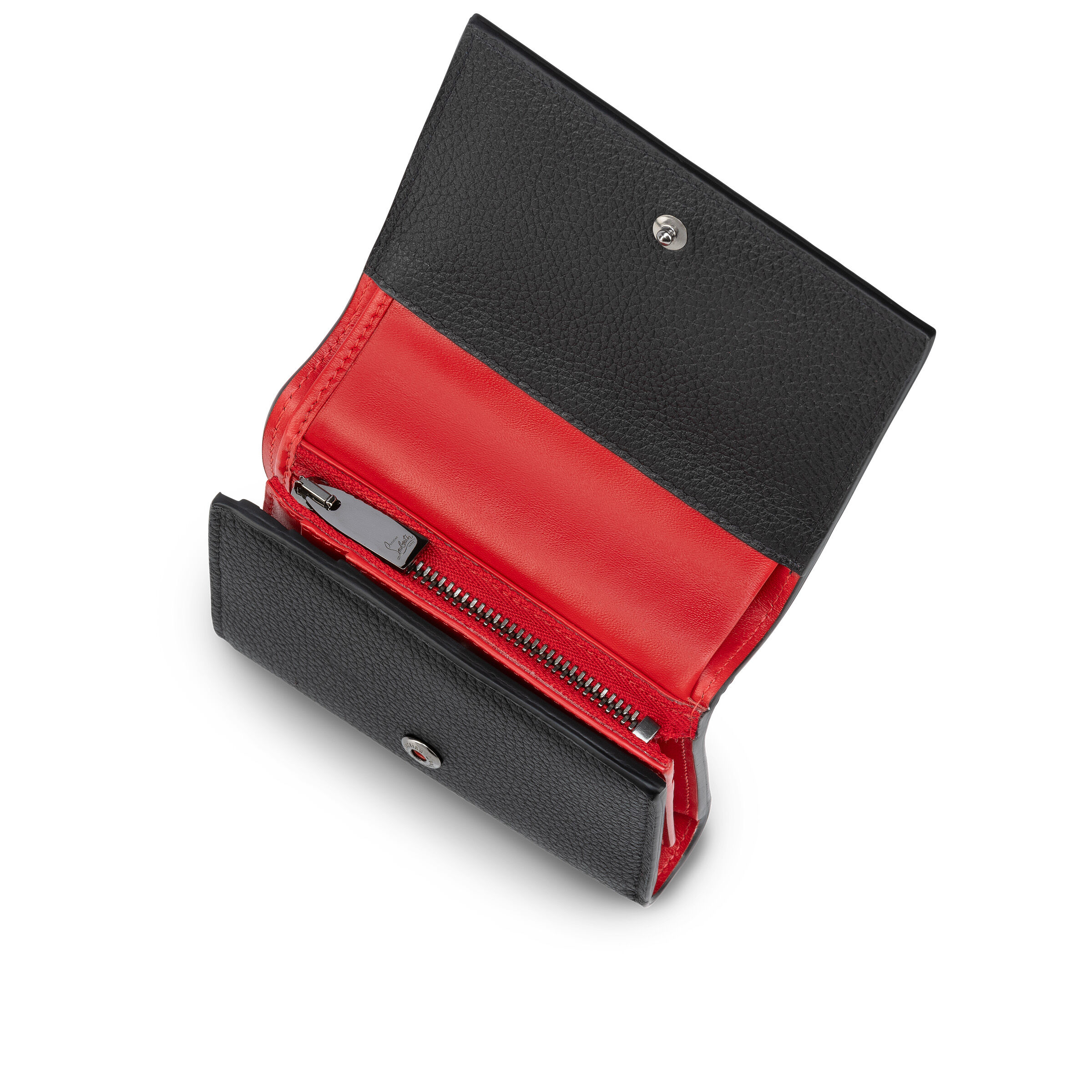 Paloma image number 5