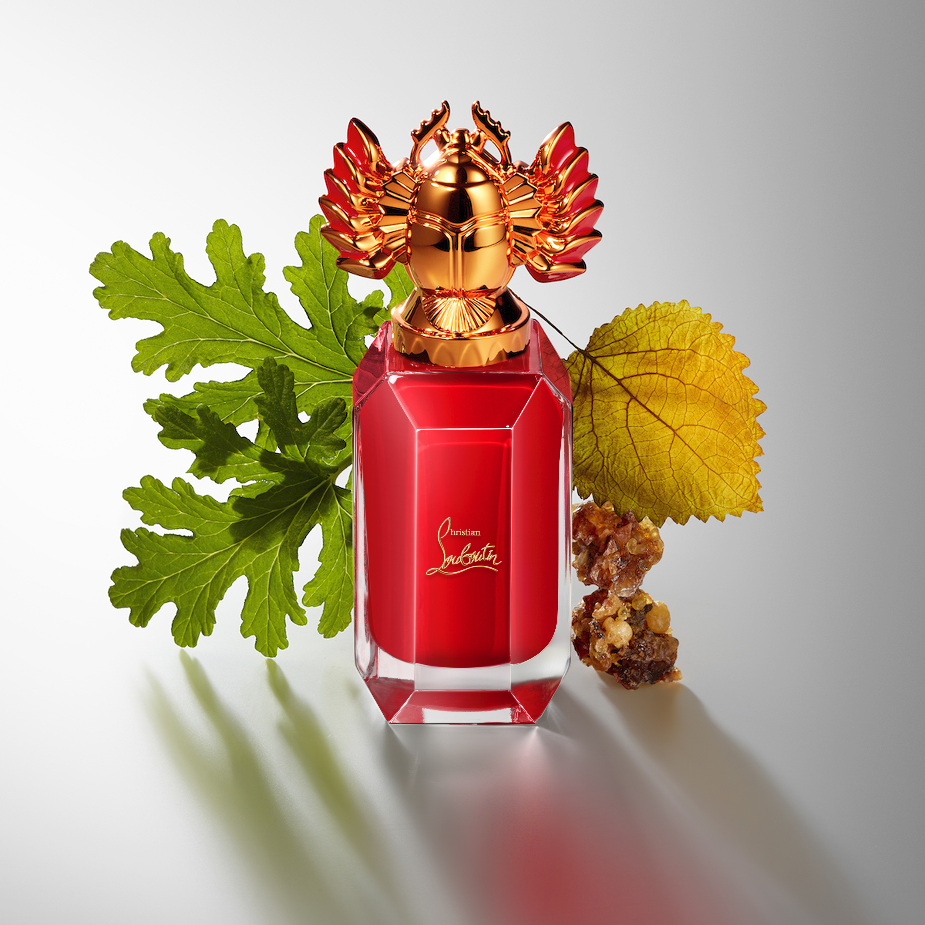 ルビシャルム  image number 4