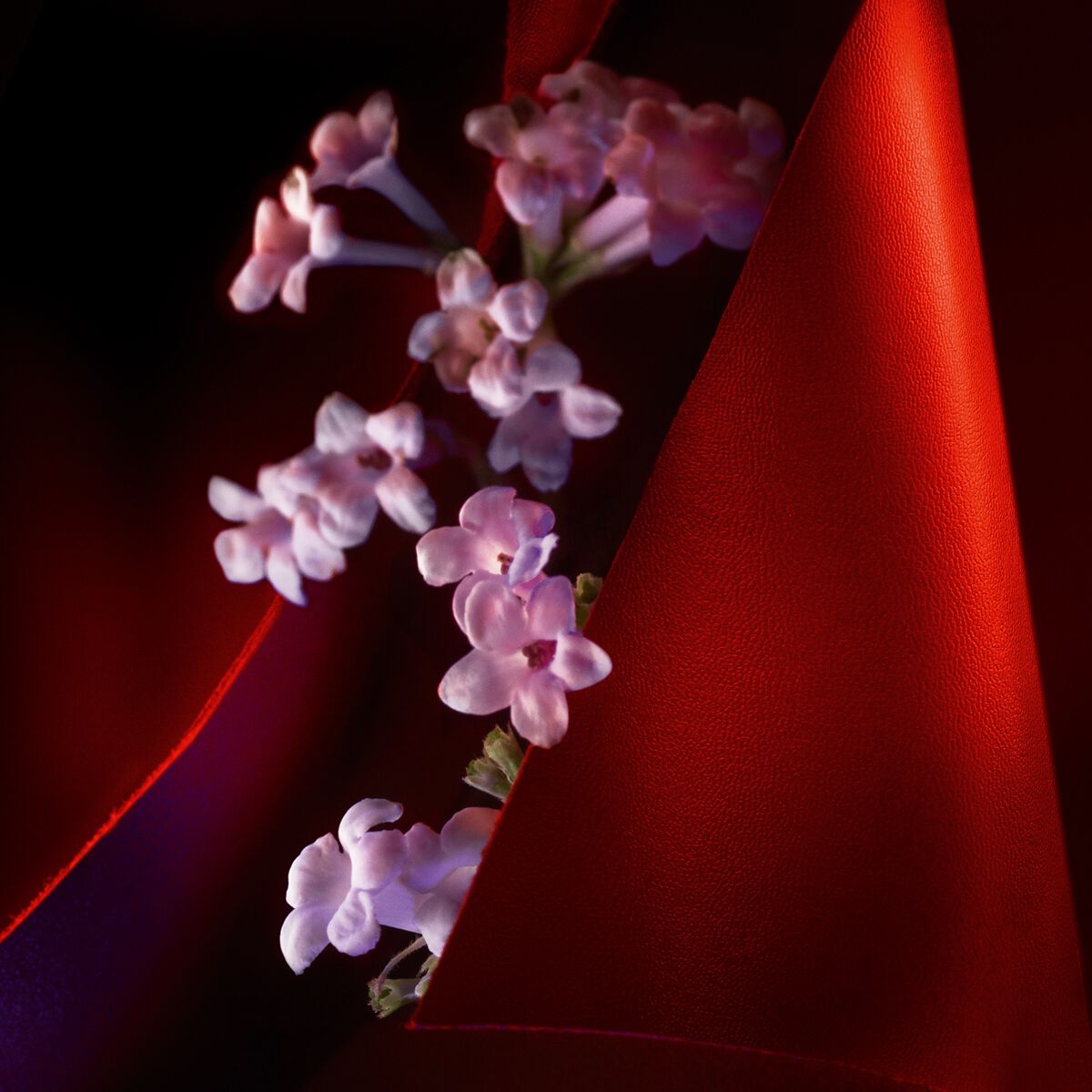 Fétiche Le Cuir TRANSLUCIDE - Christian Louboutin Beauty