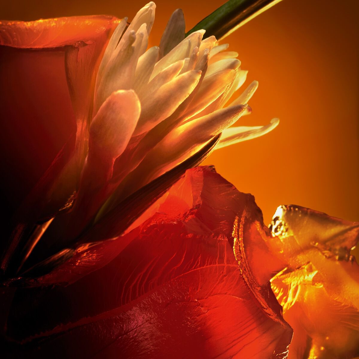 ランブル オードゥパルファン image number 3