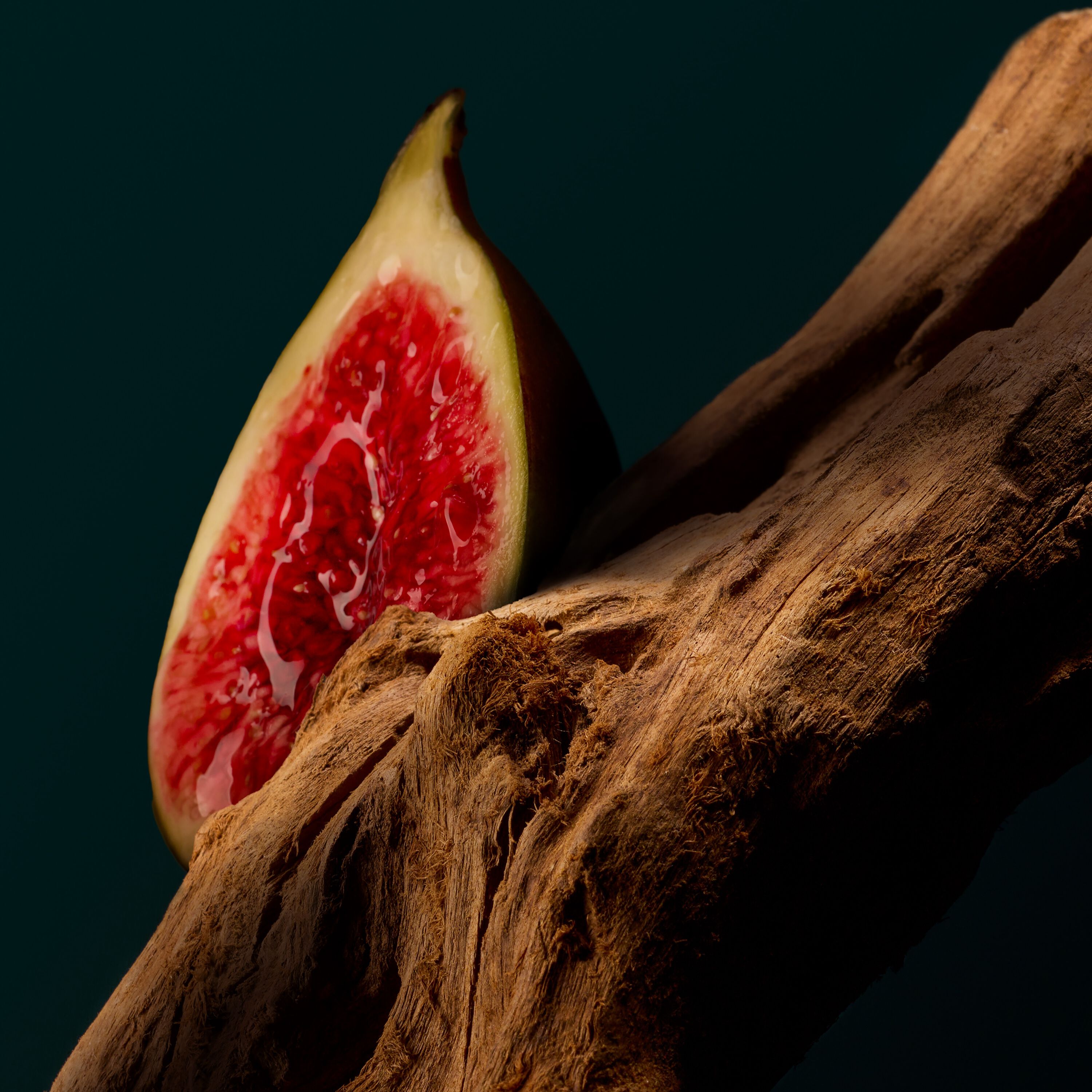  サンタルフェティッシ image number 3